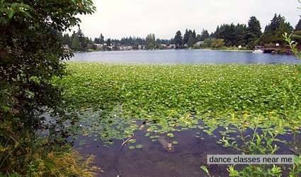 Dance studios Bitter Lake and the nearby American Dance Institute