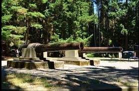 Hamlin Park Old Boston Guns