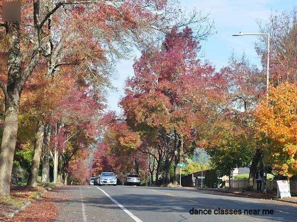 Meadowbrook, a Seattle neighborhood near the American Dance Institute Wedgwood Meadowbrook, a Seattle neighborhood near the American Dance Institute Wedgwood