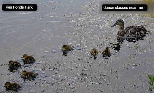 Twin Ponds Sporting Grounds and the American Dance Institute